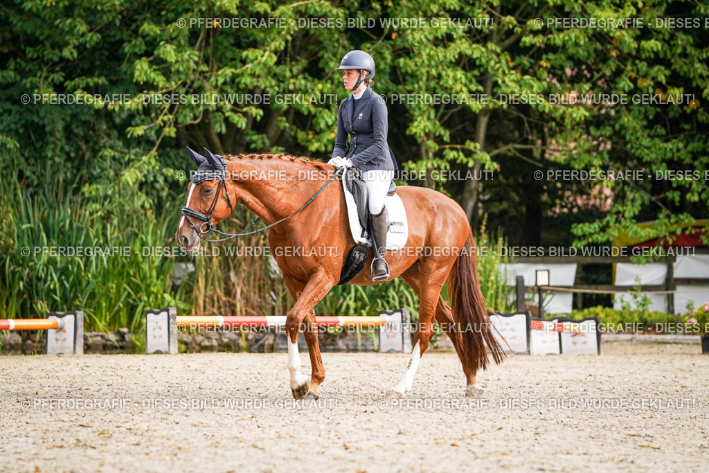 DSC00501 | Pferdegrafie