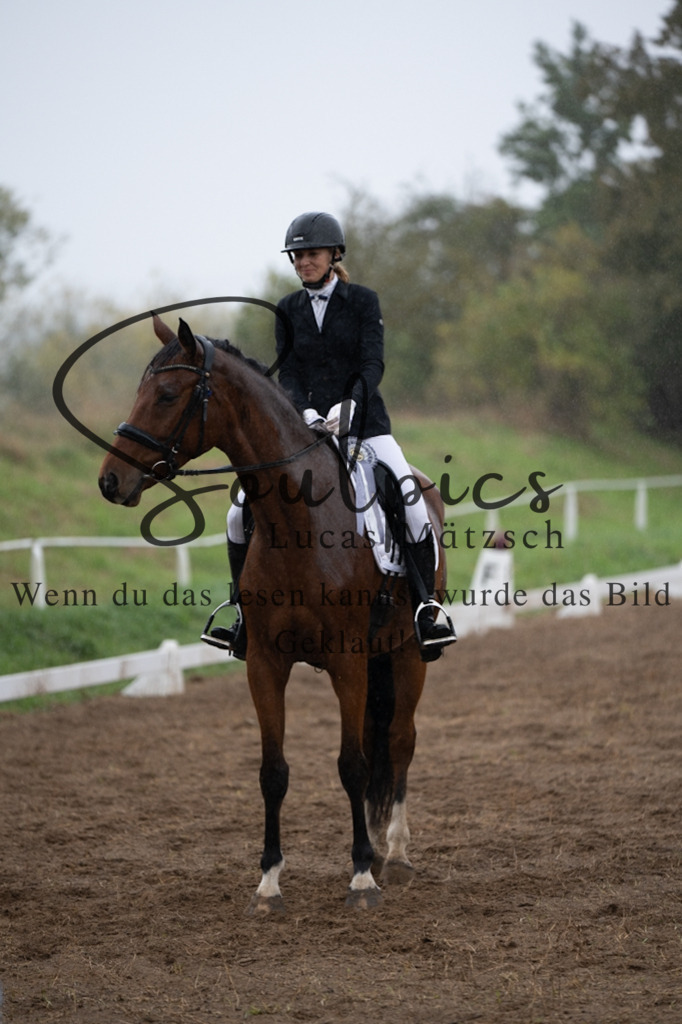 A7V05789 | Pferdefotograf