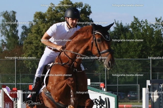 OHT 2022 Röhlingen (153) | Fotografie, Tiere, Hunde, Katzen, Pferde, Sportfotografie, Fotosession, Tierfotografie, Turnierfotografie, Fotografin, Fotograf - Realisiert mit Pictrs.com