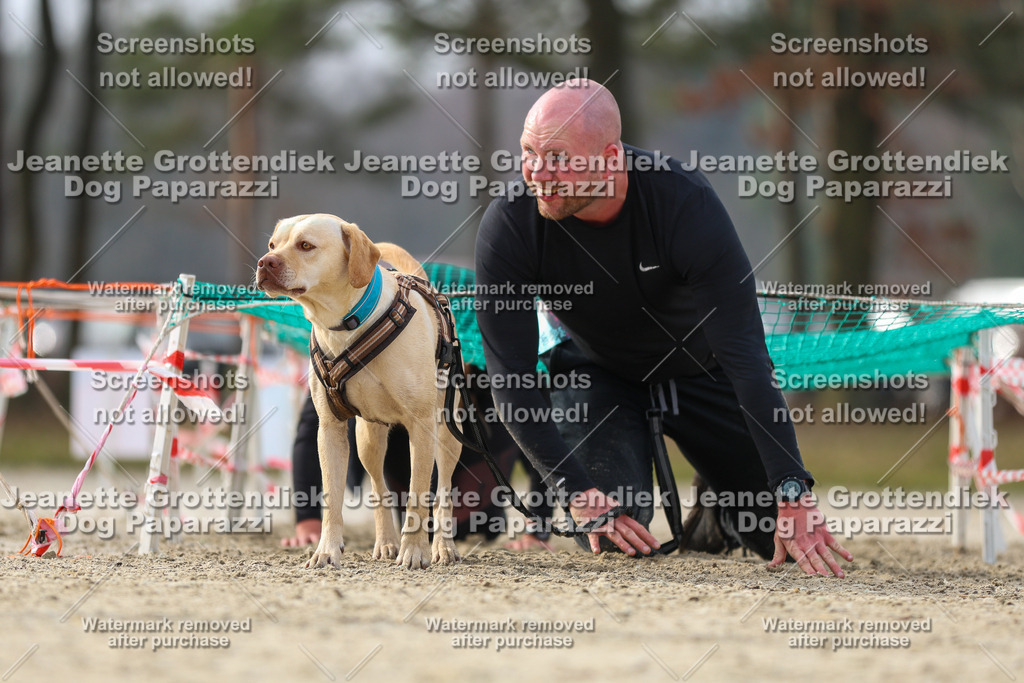 Dog Paparazzi - Strongdog North Mrz26-4849 | Dog Paparazzi Jeanette Grottendiek Fotografie & Videografie - Realisiert mit Pictrs.com