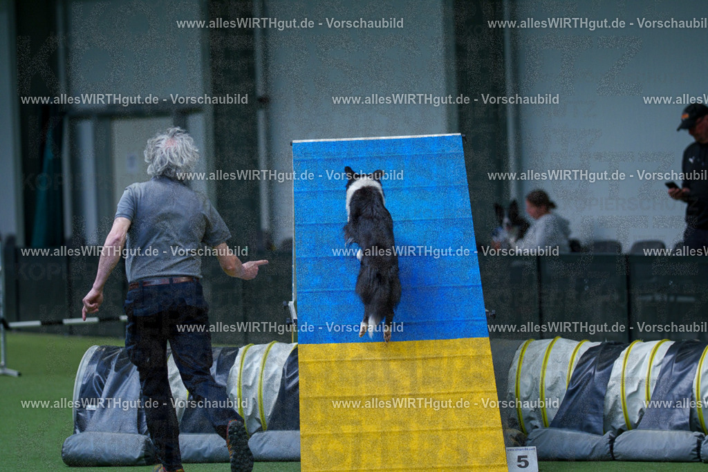 @allesWIRTHgut_Tierfotografie - www.allesWIRTHgut.de - 2604251527-7R505943 | Professionelle Tierfotografie in Mönchengladbach von Daniel Wirth (allesWIRTHgut). Liebevolle & natürliche Bilder von Hunden & Katzen für unvergessliche Erinnerungen.