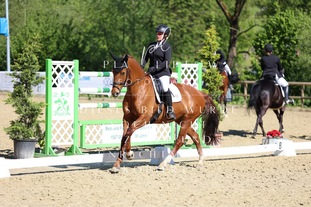 IMGT0424 | pl-fotografie