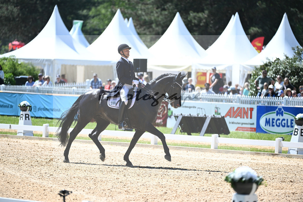 Spatz_Walentina_12246284 | hf-fotografie - Realisiert mit Pictrs.com