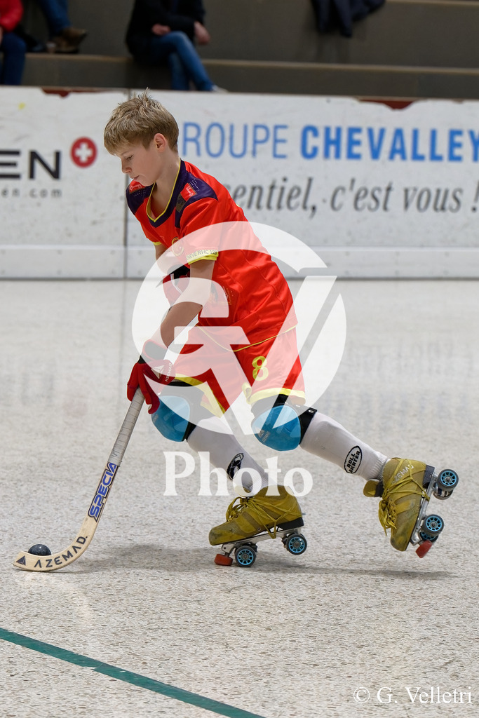 DSC_1600 | Velletri Photo