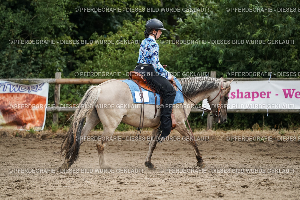 DSC03599 | Pferdegrafie