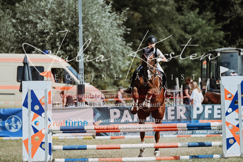DSC_9456 | Pferde- und Turnierfotografie in Westsachsen. Pferdeportraits, Auftragszeichnungen und intuitive Kunst.