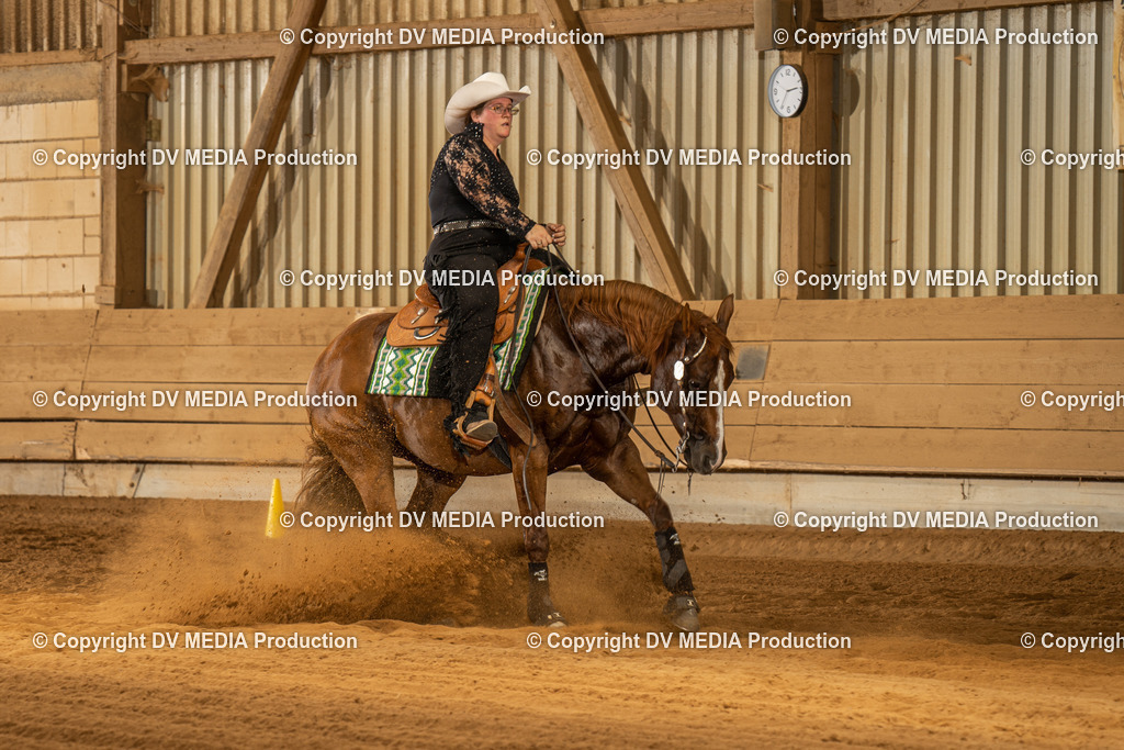 NID02040 | dv-media-shop - Realisiert mit Pictrs.com