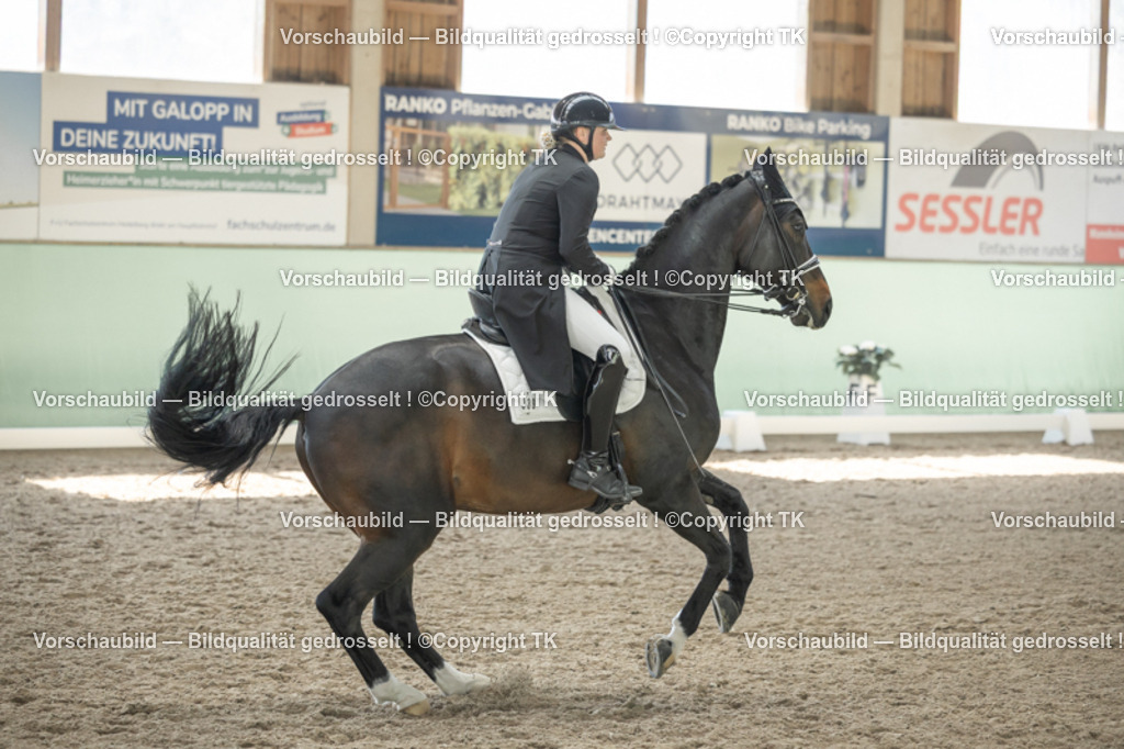 _D5A1926 | Emotionale Pferde- & People-Fotografie rund um Heidelberg, Leimen & Umgebung. Natürliche Fotos von Pferd, Mensch & Familie. Jetzt Termin sichern!