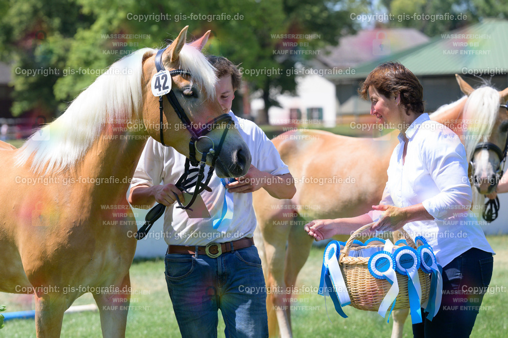 42_Alina_v.Akitano_Knoll_250621_08 | gis-fotografie