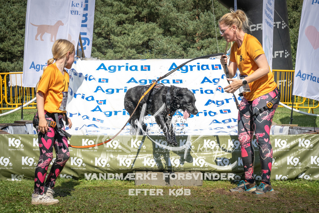 1454_ZZ96383 | kk-dogfotos
