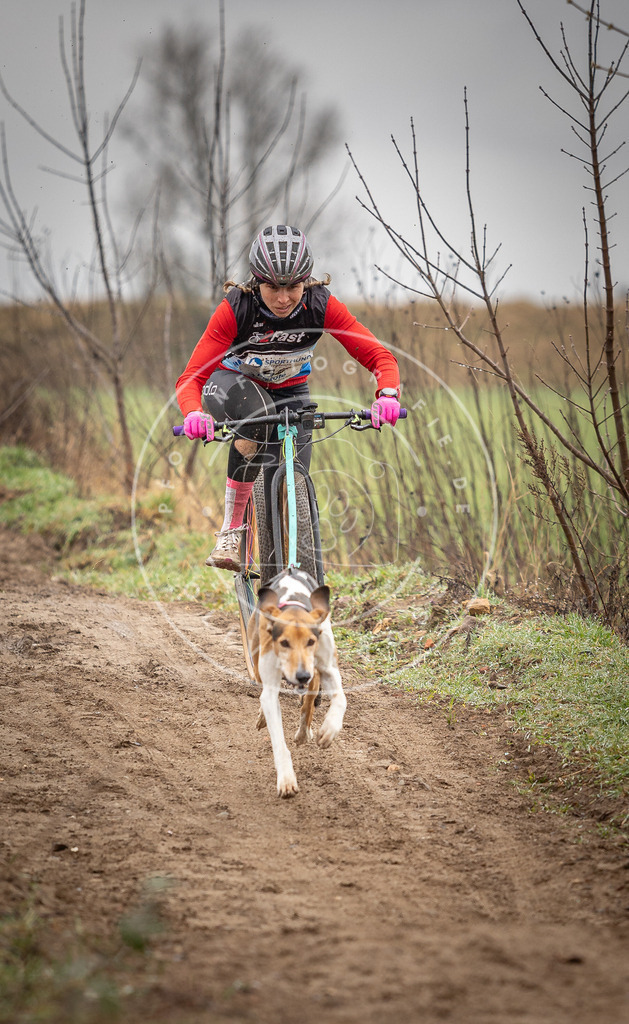 DV3A9140 | Hundefotografie, Tierfotograf, Pfotenfotografie, Fotoshooting Hund, Hunde Portrait, Hundesport, Hundeportraits, Heideshooting, Hunde, Sportfotograf, Hundefotograf, Turnierhundsport, THS,  - Realisiert mit Pictrs.com