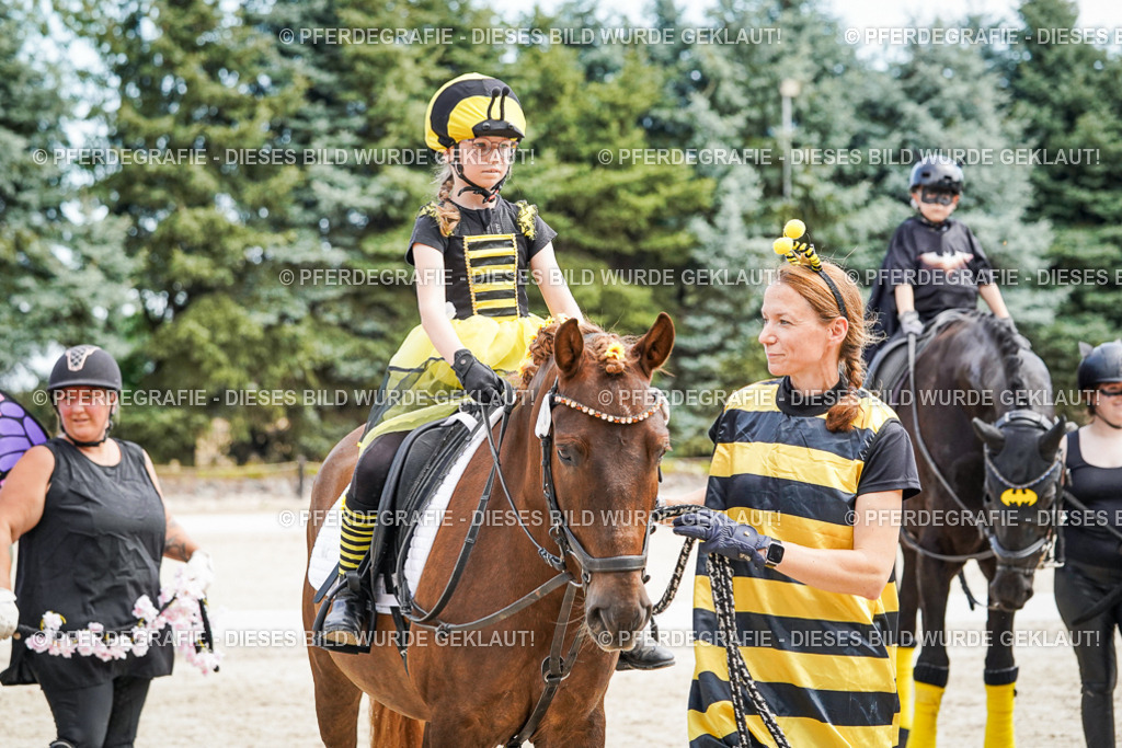 DSC03199 | Pferdegrafie