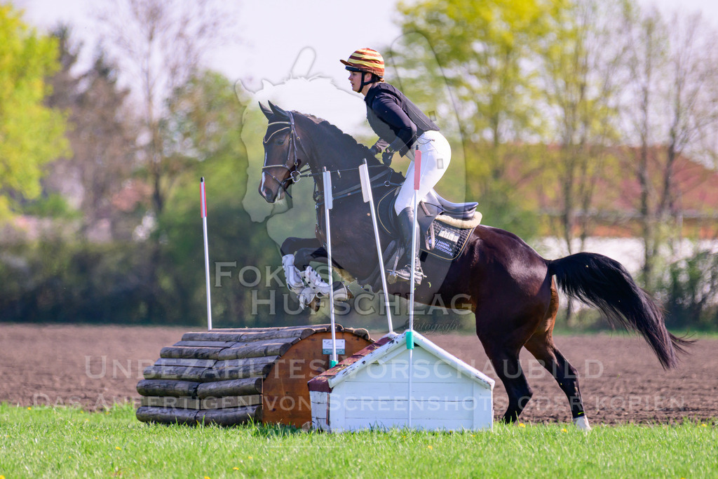 18042026-Gernlinden-03-0266 | Fokus Hufschlag Fotografie - Realisiert mit Pictrs.com