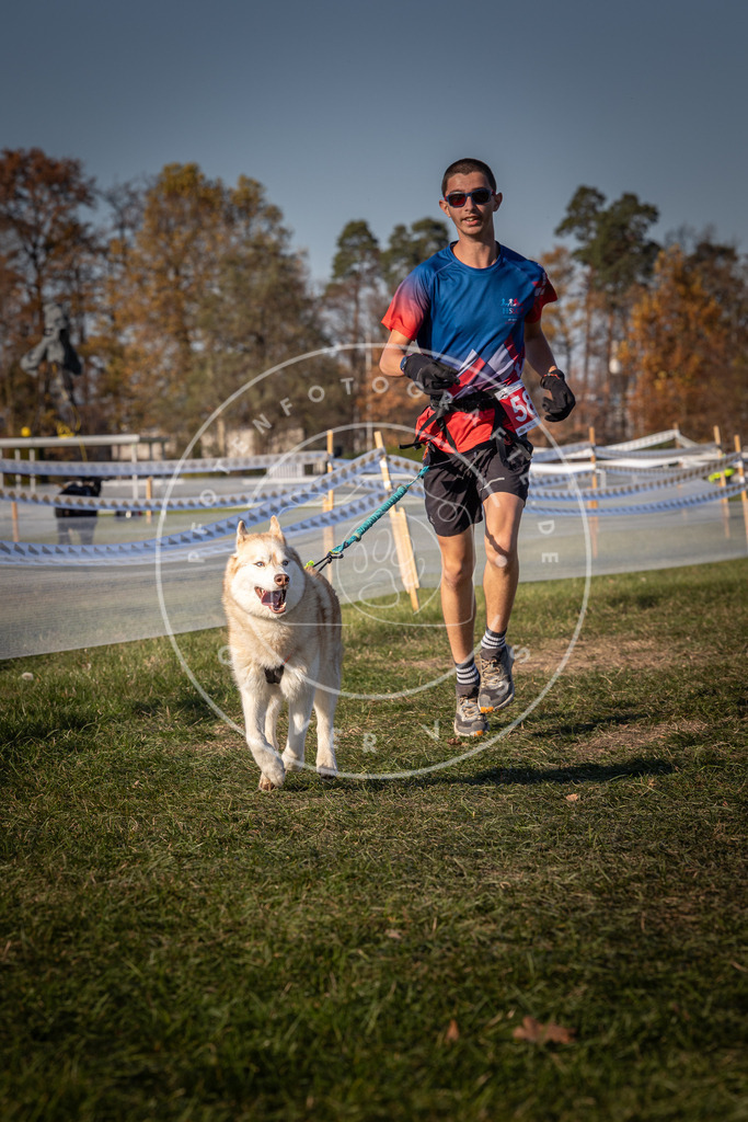 CaniXpix_0L8A8224 | Hundefotografie, Tierfotograf, Pfotenfotografie, Fotoshooting Hund, Hunde Portrait, Hundesport, Hundeportraits, Heideshooting, Hunde, Sportfotograf, Hundefotograf, Turnierhundsport, THS,  - Realisiert mit Pictrs.com