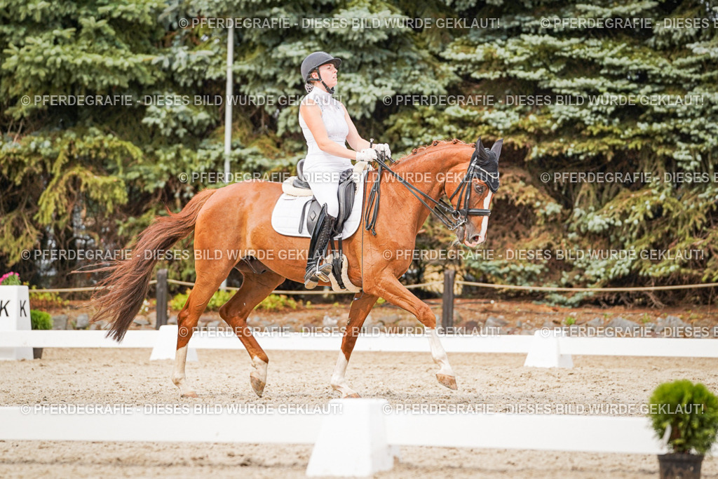 DSC07362 | Pferdegrafie