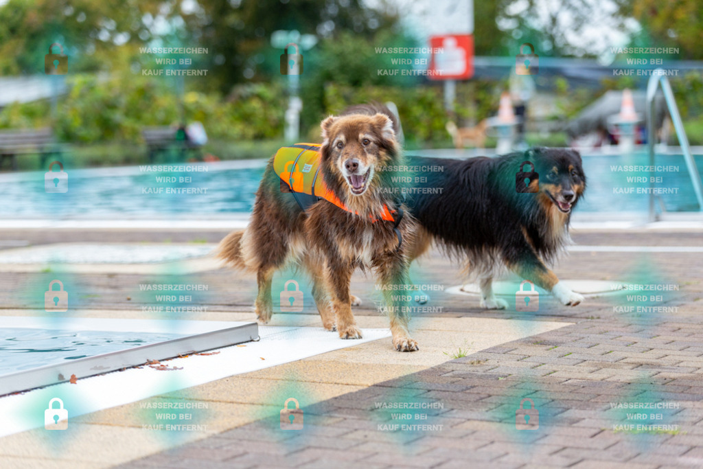 _HP_6051_1000o | HetPix, HetPix Fotodesign, Fotografie, Fotodesign, Webshop, Sportfotografie, Portraitfotografie, Onlineshop, Sportfotografie, Polch, Motorsportfotografie, Eventfotografie