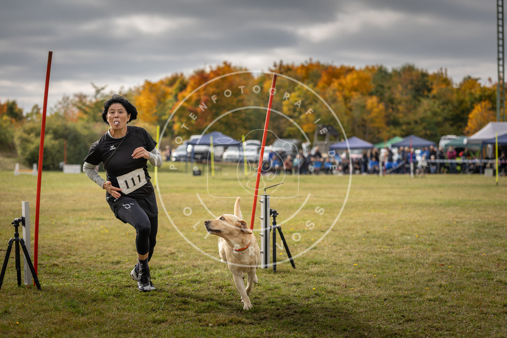 Pfotenfotografie_DV3A7156 | Hundefotografie, Tierfotograf, Pfotenfotografie, Fotoshooting Hund, Hunde Portrait, Hundesport, Hundeportraits, Heideshooting, Hunde, Sportfotograf, Hundefotograf, Turnierhundsport, THS,  - Realisiert mit Pictrs.com