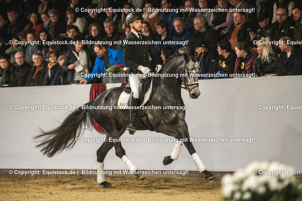 20240302_Hengstvorstellung_Marbach_TOMsPiC_0192 | equistock