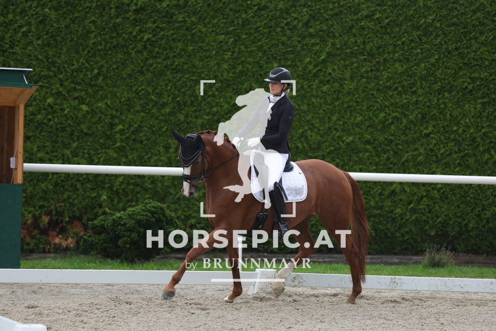 0P6A0116 | Willkommen bei Brunnmayr - Design & Fotografie – Ihrem Spezialisten für Reitturniere und Pferdeveranstaltungen in Oberösterreich, Salzburg und Bayern! Seit über 17 Jahren sind wir leidenschaftlich dabei.