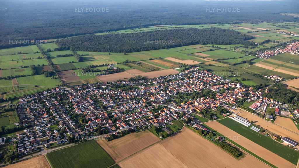 Luftbild: Ortsansicht von Norden in Minfeld im Bundesland Rheinland-Pfalz in Deutschland.Foto: IMG_138110.jpg vom 19.08.2023 durch Werner Riehm/FLY-FOTO.de