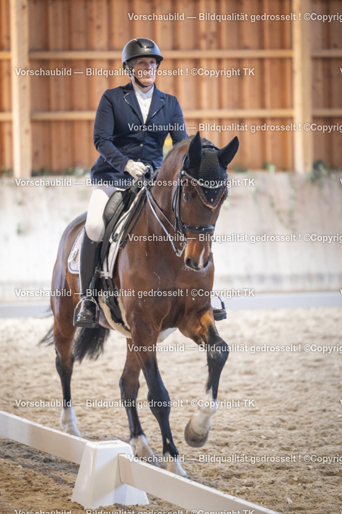 _D5A1997 | Emotionale Pferde- & People-Fotografie rund um Heidelberg, Leimen & Umgebung. Natürliche Fotos von Pferd, Mensch & Familie. Jetzt Termin sichern!