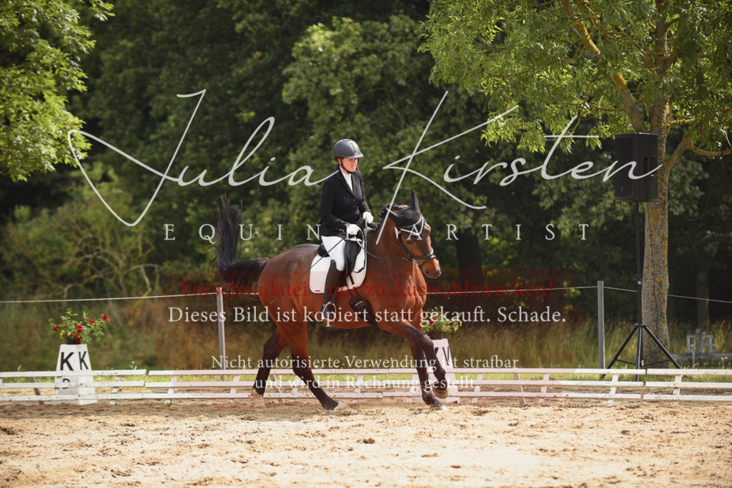 DSC_0794 | Pferde- und Turnierfotografie in Westsachsen. Pferdeportraits, Auftragszeichnungen und intuitive Kunst.