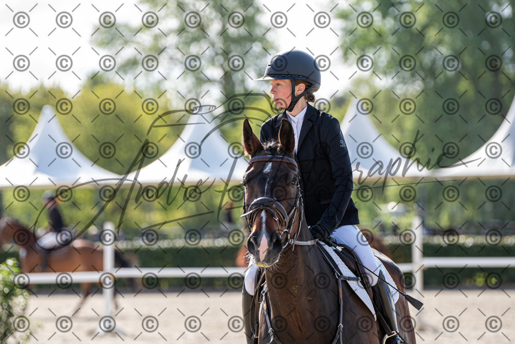 KPT_4577 | andre_photographic