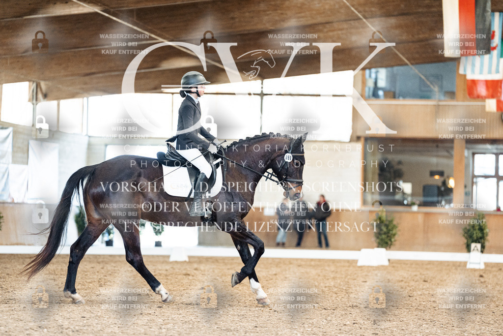 CK909892 | Turnierfotografie Pferdefotografie Trier Rheinland-Pfalz Pferdesport Reitsport Tierfotografie Sportfotografie Pferdevideo Pferdevideografie Equestrianvideography equestrianphotography  - Realisiert mit Pictrs.com