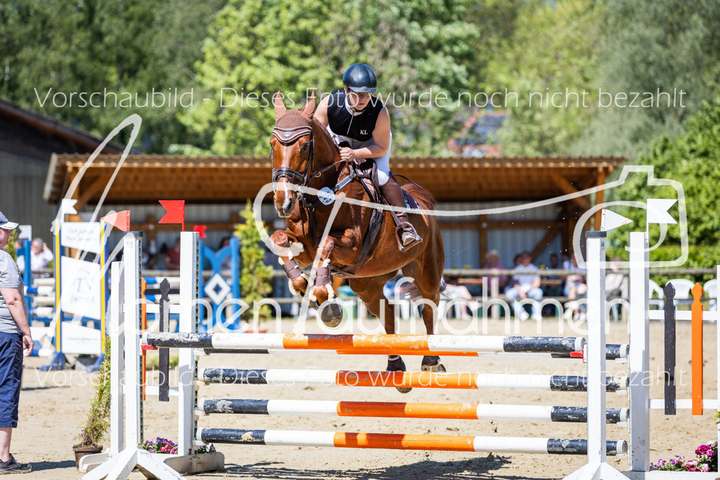 Donop24-ASprmstA-080 | MomenTaufnahmen Pferdesportfotos