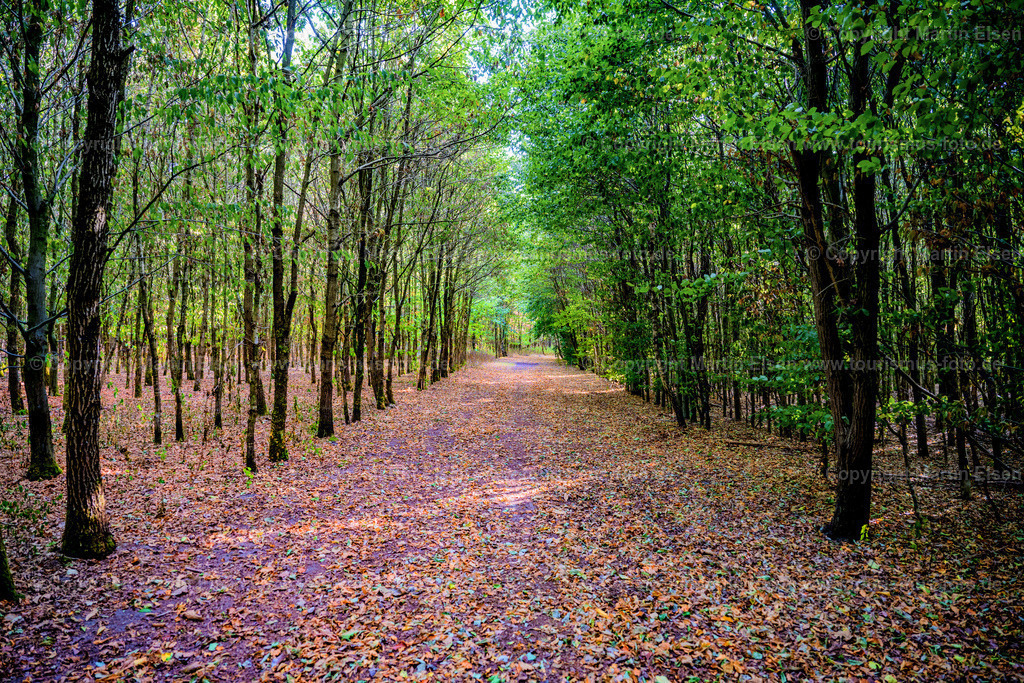 Harsefeld Steinbeck Geestrücken_ELS_1769060922 | Fotos aus den Touristenorten aus Norddeutschland. - Realisiert mit Pictrs.com