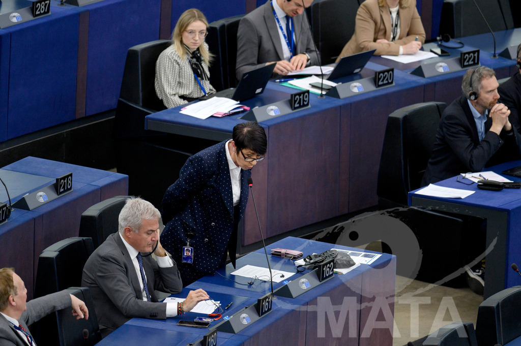 _DWI0291 | Christine ANDERSON (MdEP 2019-2024, AFD, DE) bei Wiederaufnahme der letzte Plenarsitzung. Das Europäische Parlament in Straßburg, 22.04.2024 - Realisiert mit Pictrs.com
