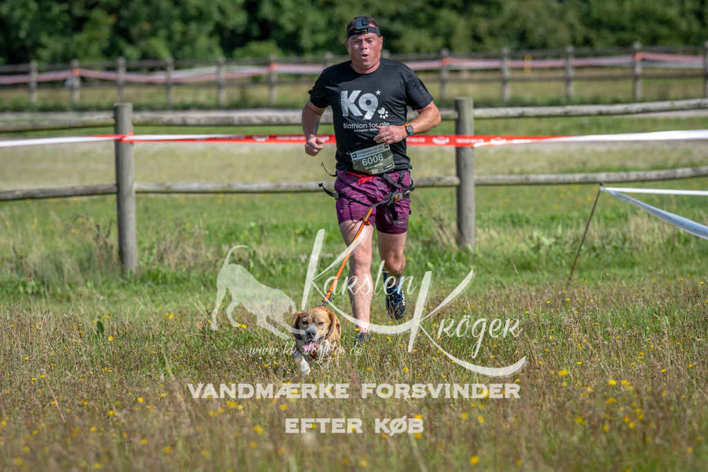 1134_ZZ90242 | kk-dogfotos