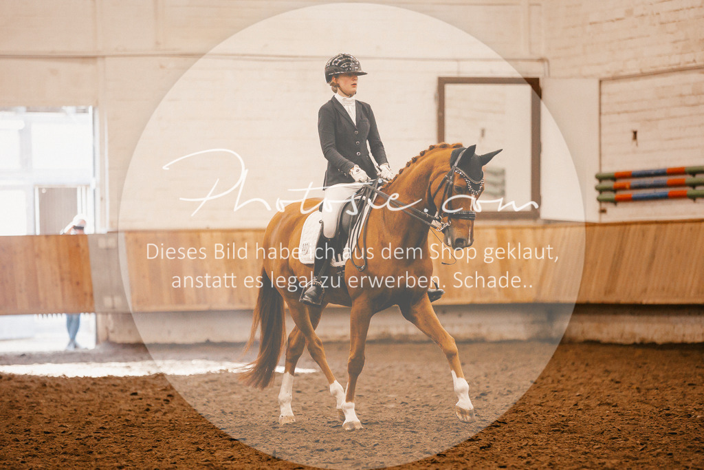 3I6A2353 | Stimmungsvolle Portraits und Reitsportfotografie im Ruhrgebiet und im Münsterland.

Pferdefotografie, Hundefotografie, Tierfotografie, Reportagen, Portraits von Tier und Mensch, Turnierfotografie in Bochum, Recklinghausen, Marl, Haltern am See, Dülmen.. - Realisiert mit Pictrs.com