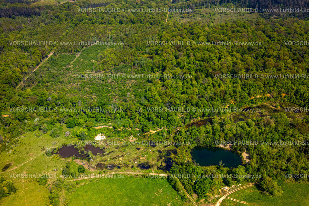 Swisttal240501632Kottenforst | Luftbild, Waldgebiet Kottenforst, Teiche Kiesgrube Dünstekoven Landschaftsschutzgebiet, Naturschutzgebiet Waldville, Heimerzheim, Swisttal, Rheinland, Nordrhein-Westfalen, Deutschland