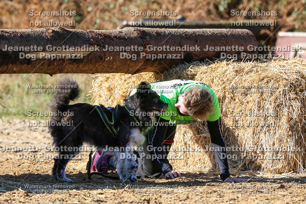 Dog Paparazzi - Strongdog 10-25-2641 | Dog Paparazzi Jeanette Grottendiek Fotografie & Videografie - Realisiert mit Pictrs.com