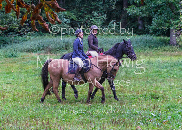 Jagd Perdoel_MarinaHewigDSCF3342 | Fotografie, FotoArt, PferdesportArt, Pferdesportfotografie, Landschaftsfotografie, Reisefotografie, Reise, Pferde - Realisiert mit Pictrs.com