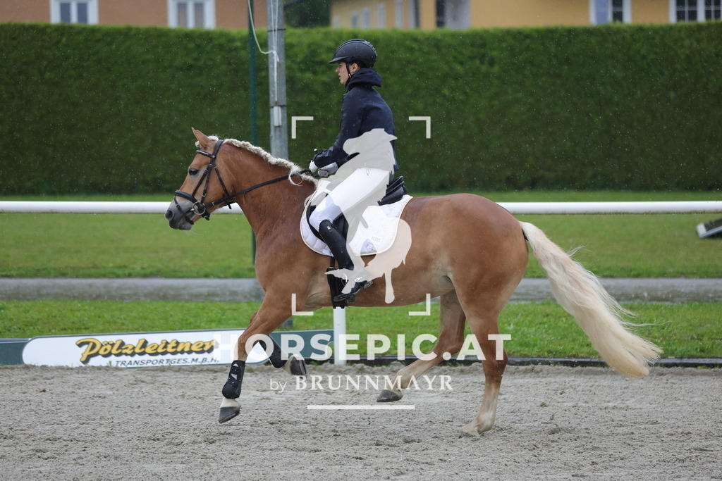 0P6A7631 | Willkommen bei Brunnmayr - Design & Fotografie – Ihrem Spezialisten für Reitturniere und Pferdeveranstaltungen in Oberösterreich, Salzburg und Bayern! Seit über 17 Jahren sind wir leidenschaftlich dabei.