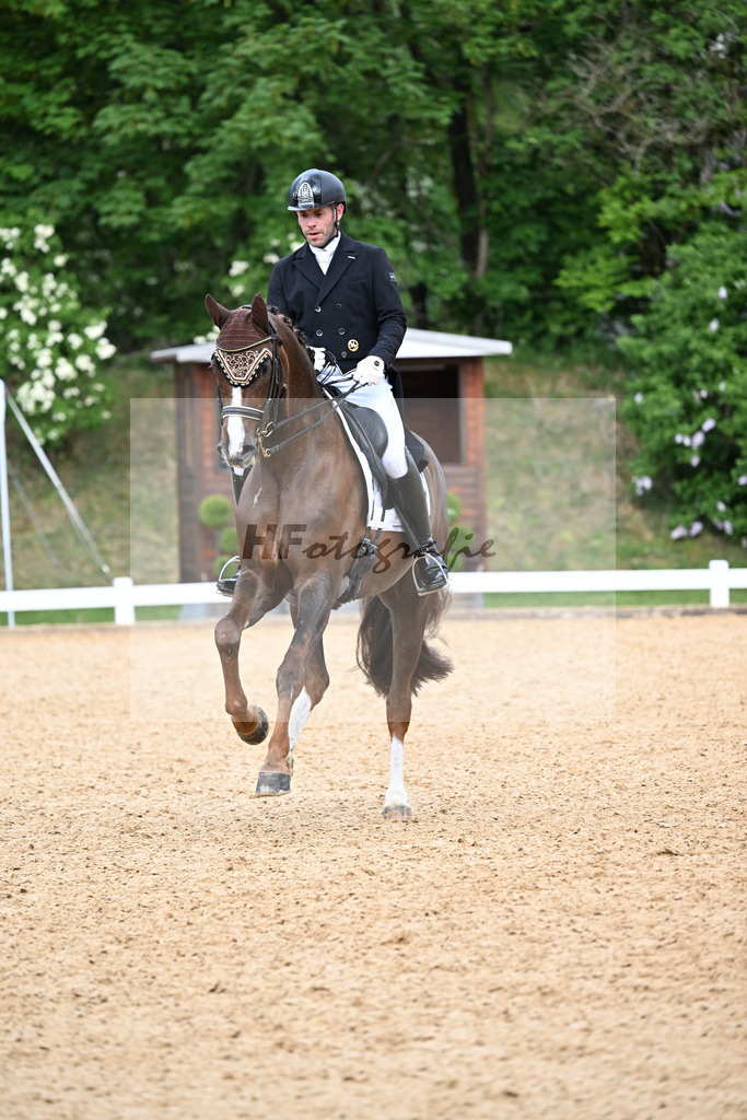 Equistro Dressurderby_26268202 | hf-fotografie - Realisiert mit Pictrs.com