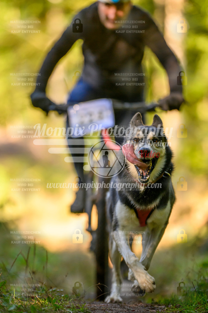 MompixPhotography_Yens2025_B3-119 | PayLife