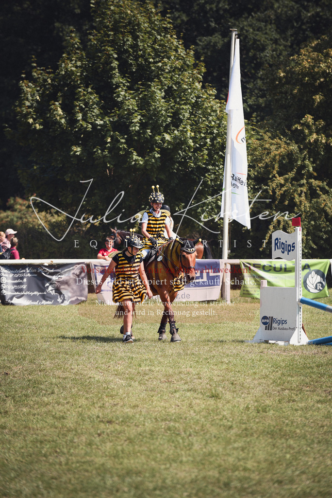 DSC_0275 | Pferde- und Turnierfotografie in Westsachsen. Pferdeportraits, Auftragszeichnungen und intuitive Kunst.