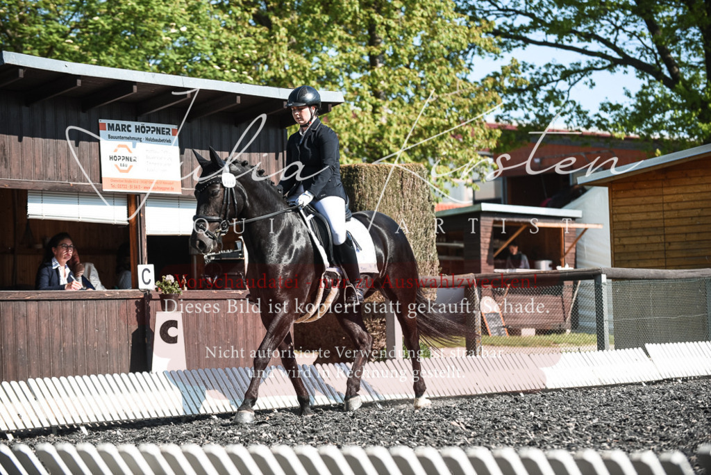 DSC_8625 | Pferde- und Turnierfotografie in Westsachsen. Pferdeportraits, Auftragszeichnungen und intuitive Kunst.