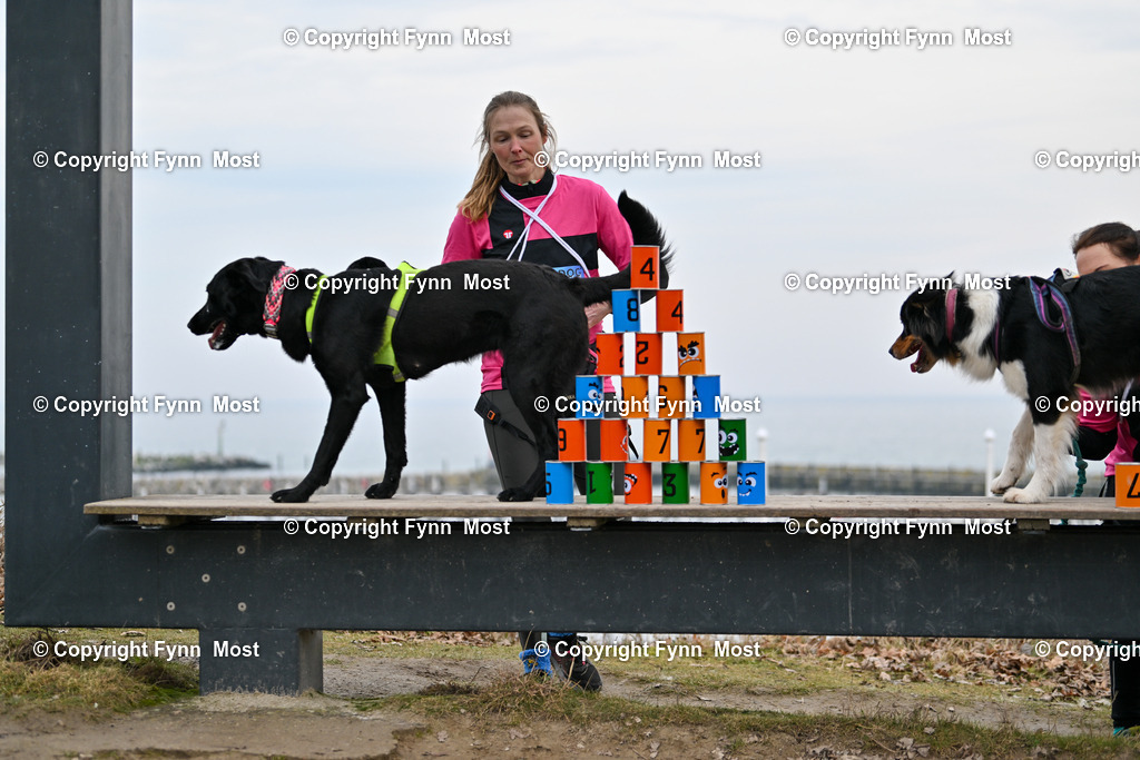 DSC_2386 | Hallo und herzlich Willkommen auf meiner Shop-Seite Fynn Most.

Ich wünsche Dir viel Spaß beim stöbern durch die Bilder, wenn Du Fragen hast oder Bilder vermisst, kannst du mir gerne eine Nachricht schreiben. - Realisiert mit Pictrs.com