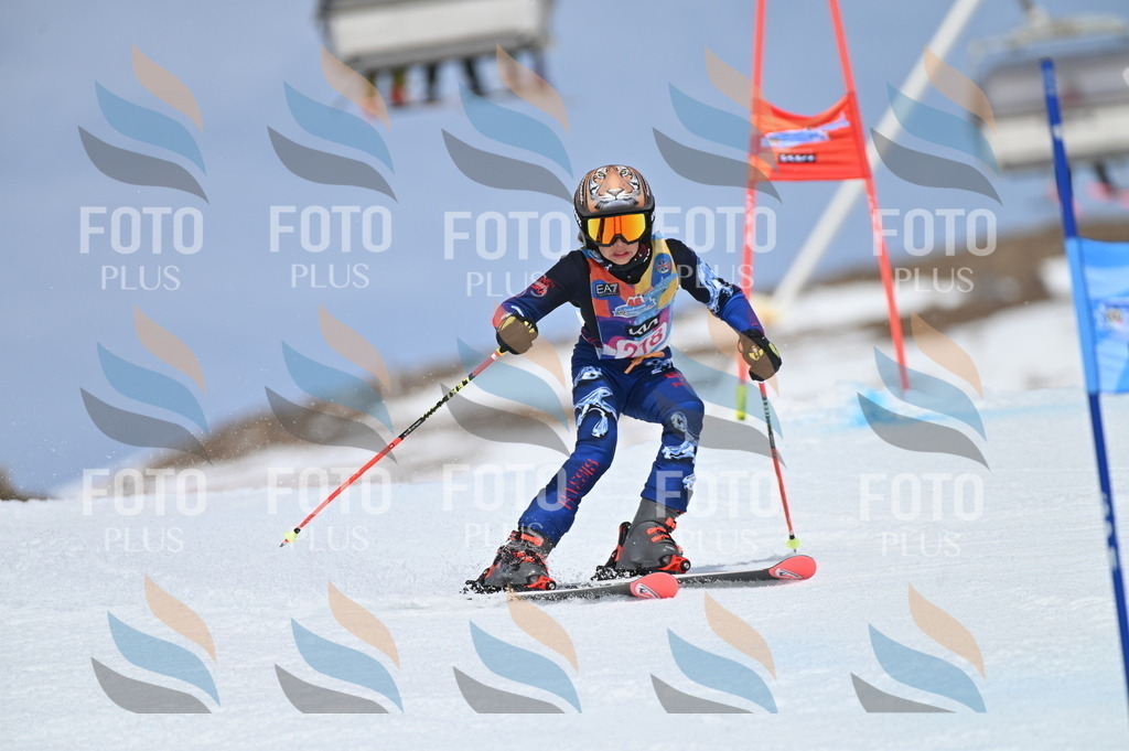 BGV_1273 | holidayphoto