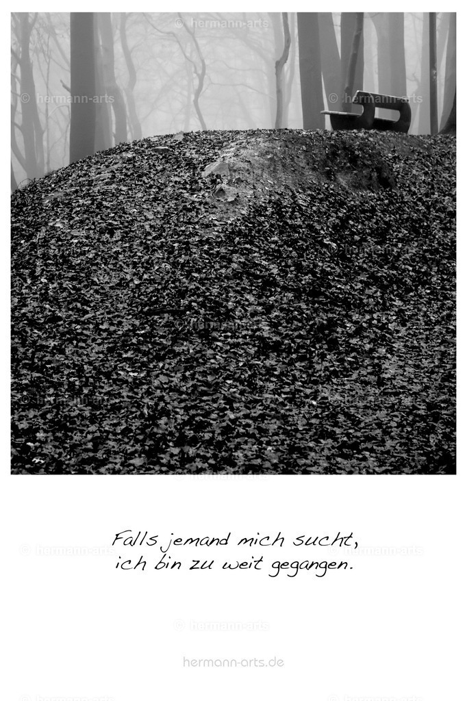 PK_Zitate_10x15_BW-117 | Photo Foto Kunst Art schwarzweiss Bilder Rheine Münster Berlin Blumen 