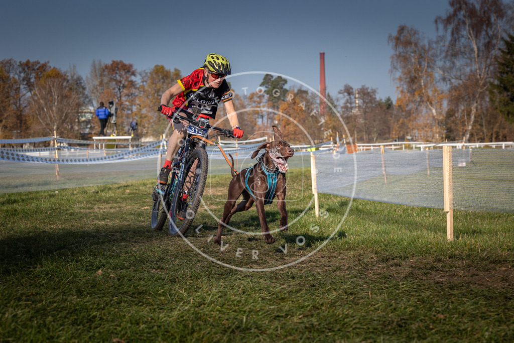 CaniXpix_0L8A6606 | Hundefotografie, Tierfotograf, Pfotenfotografie, Fotoshooting Hund, Hunde Portrait, Hundesport, Hundeportraits, Heideshooting, Hunde, Sportfotograf, Hundefotograf, Turnierhundsport, THS,  - Realisiert mit Pictrs.com