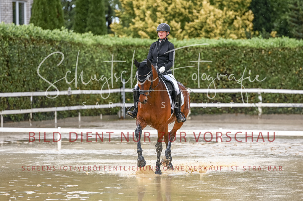 Schugtsche-Aluta25-54.Dressurprf.L1Trense-132 | Schugtsche Fotografie - Realisiert mit Pictrs.com