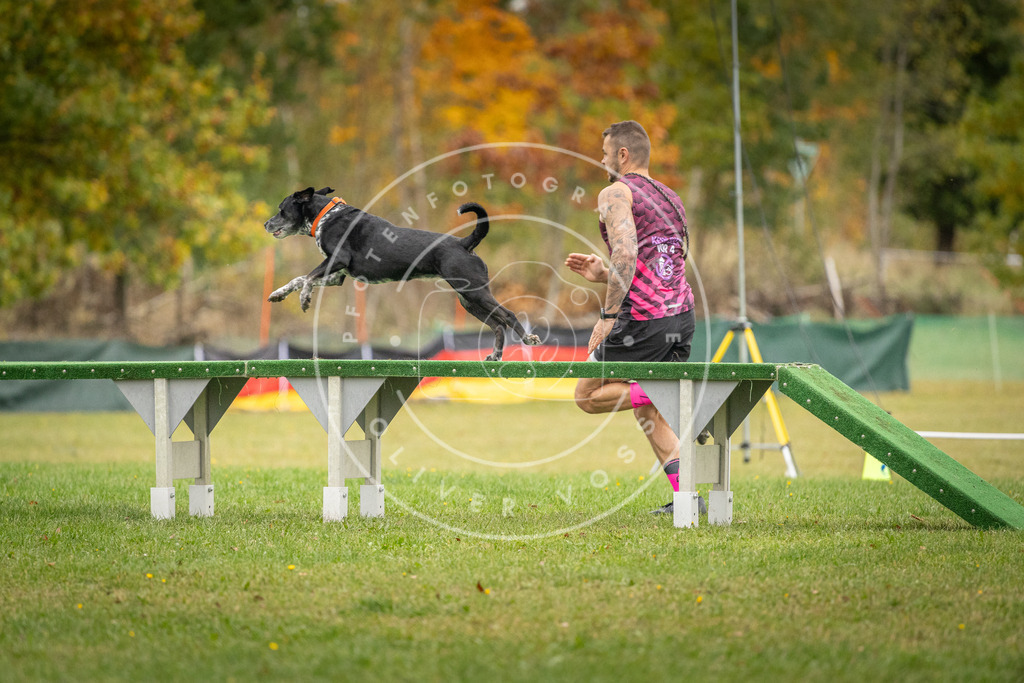 Pfotenfotografie_DV3A9823 | Hundefotografie, Tierfotograf, Pfotenfotografie, Fotoshooting Hund, Hunde Portrait, Hundesport, Hundeportraits, Heideshooting, Hunde, Sportfotograf, Hundefotograf, Turnierhundsport, THS,  - Realisiert mit Pictrs.com