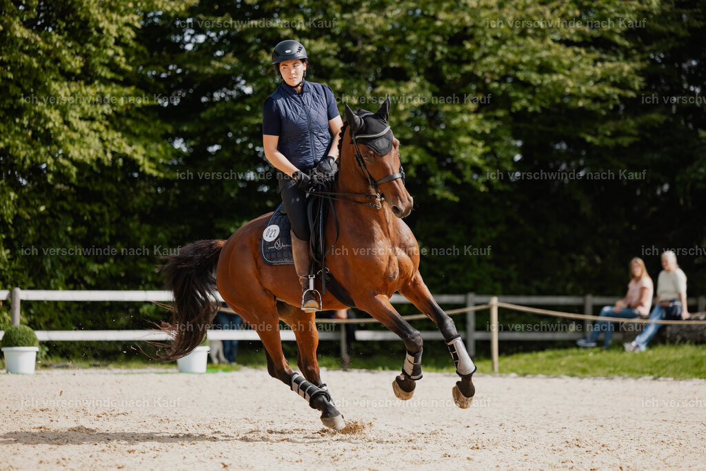 Nadine22_FHC2025-121 | working equitationturnier fotograf videograf stoibphotography marixx film working equitation deutschland reitsport turnierfotografie eventfotografie equestrian events
