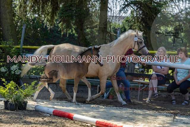 _MG_4970 | mandyhollmannphotographie