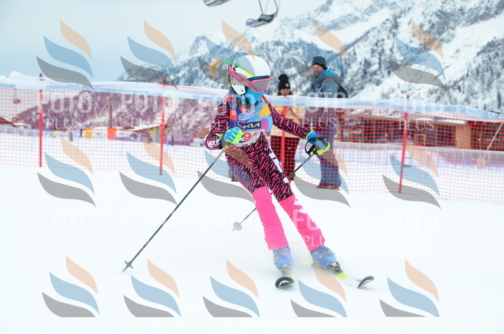 DSC_1186 | holidayphoto